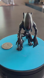 Xenomorph Alien concept